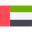 UAE flag